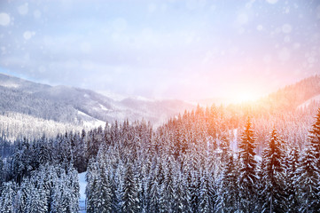 Beautiful winter landscape with snow covered trees