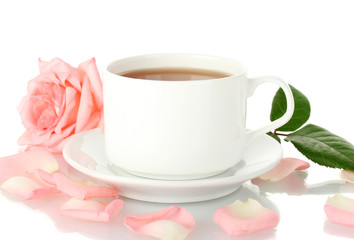 cup of tea with rose isolated on white