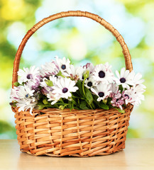 Fototapeta na wymiar bouquet of beautiful summer flowers in basket,