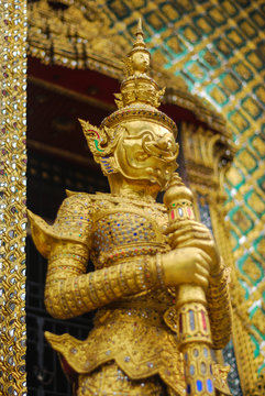 Thai giant_2