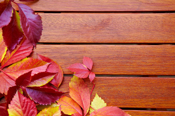 Naklejka na ściany i meble Autumn Leaves over wooden backgound