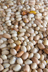 Filled up a lot of beans