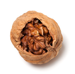 Walnut on white background