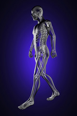 walking man radiography