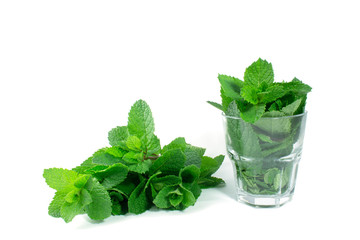 Mint on a white background
