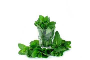 Glass of mint on a white background