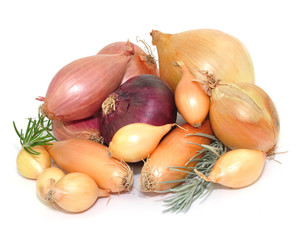 Gemüse, Kräuter