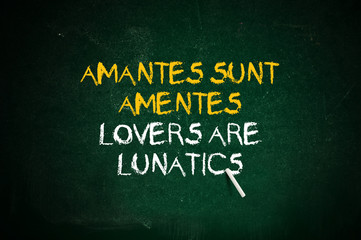 Obraz premium Lovers are lunatics