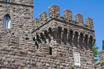 Castle of Torre Alfina. Lazio. Italy.