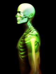 Colourful Skeleton