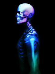 Colourful Skeleton