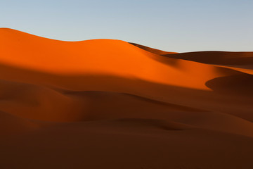 Fototapeta na wymiar Wydmy, pustynia