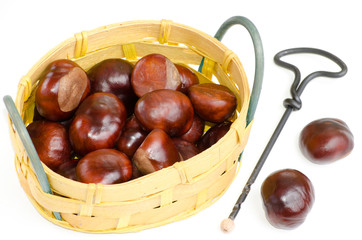 Kastanien