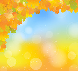 Fototapeta premium autumn leaves