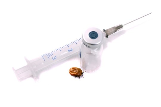 Zecken Impfung