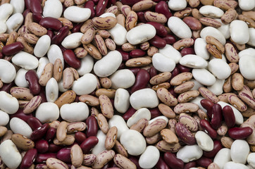 Different type of beans