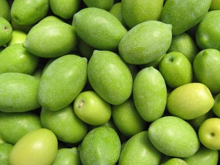 Olivas recogidas de temporada.
