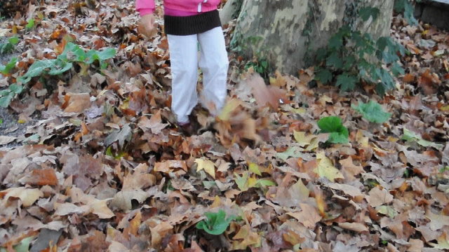 Mädchen im Herbstwald