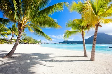Foto auf Acrylglas Bora Bora, Französisch-Polynesien Bora Bora-Strand