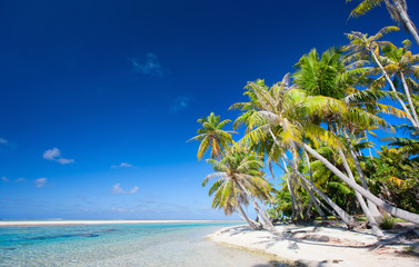 Stunning tropical beach