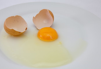 egg isolated on white background