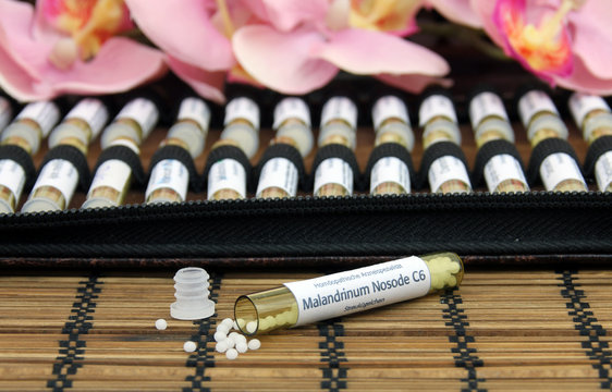 Hom&ouml;opathische Taschenapotheke