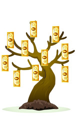 Many dollar bank note on the tree