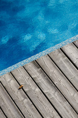 Blaues Wasser im Swimming Pool