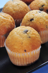 chocolate chip muffins