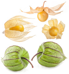 Fresh physalis (cape gooseberry) over white background