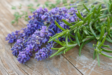 Lavendel