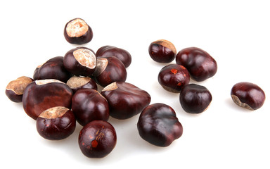 chestnuts