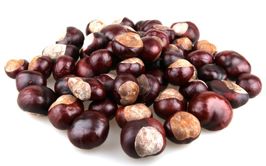 chestnuts