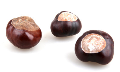 chestnuts