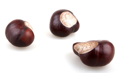 chestnuts