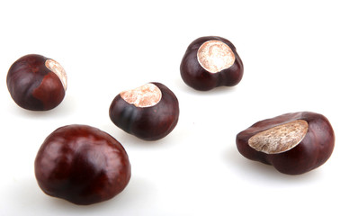 chestnuts