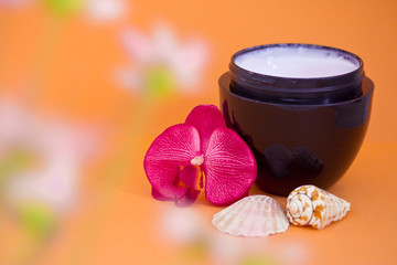 beauty and spa relaxing wellness treatments