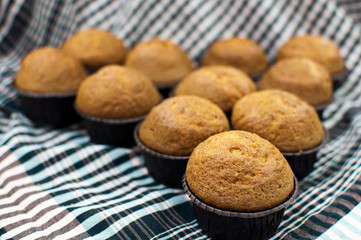 Spelt Cupcakes ecological