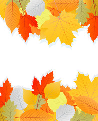 Leaves autumn vector background