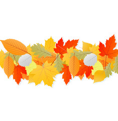 Leaves autumn vector background
