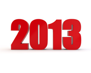 Year 2013