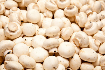 Button Mushrooms.