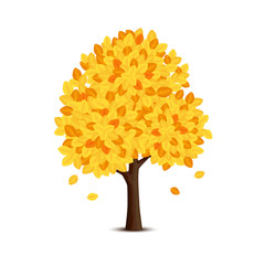 Naklejka na ściany i meble Drzewo z żółtymi liśćmi