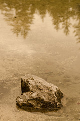 Sepia getonter Stein im Wasser