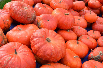 Pumpkins