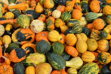 Pumpkins