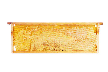 frame with honeycomb full of honey, isolated on white