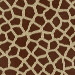 Giraffe fur (skin) background or texture