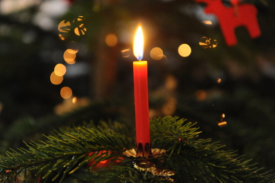 brennende Christbaumkerze auf einem Christbaumzweig 1