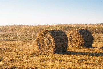 Sunrise over the stacks of straw